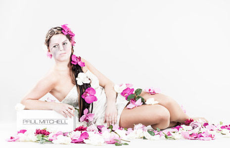 网页DDOS攻击平台