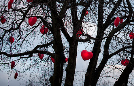 完美的网页攻击器